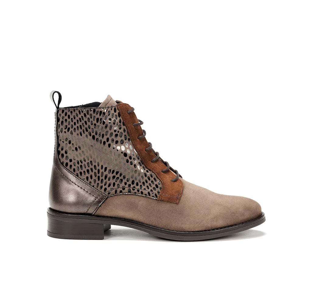 Dorking "D8709" Fango/Taupe - Boot