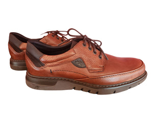 Fluchos Mens "F0248" Brown - Lace-up Shoe