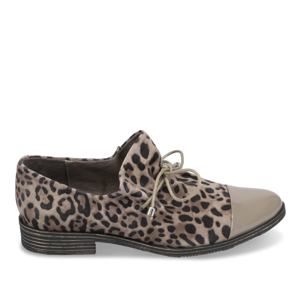 Django & Juliette "Kotty" Taupe Leo - Loafer