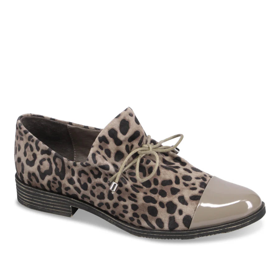 Django & Juliette "Kotty" Taupe Leo - Loafer