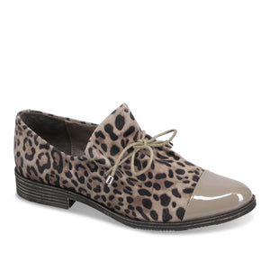 Django & Juliette "Kotty" Taupe Leo - Loafer
